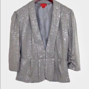 Elle dress coat is sparkly, sliver and a size 20w